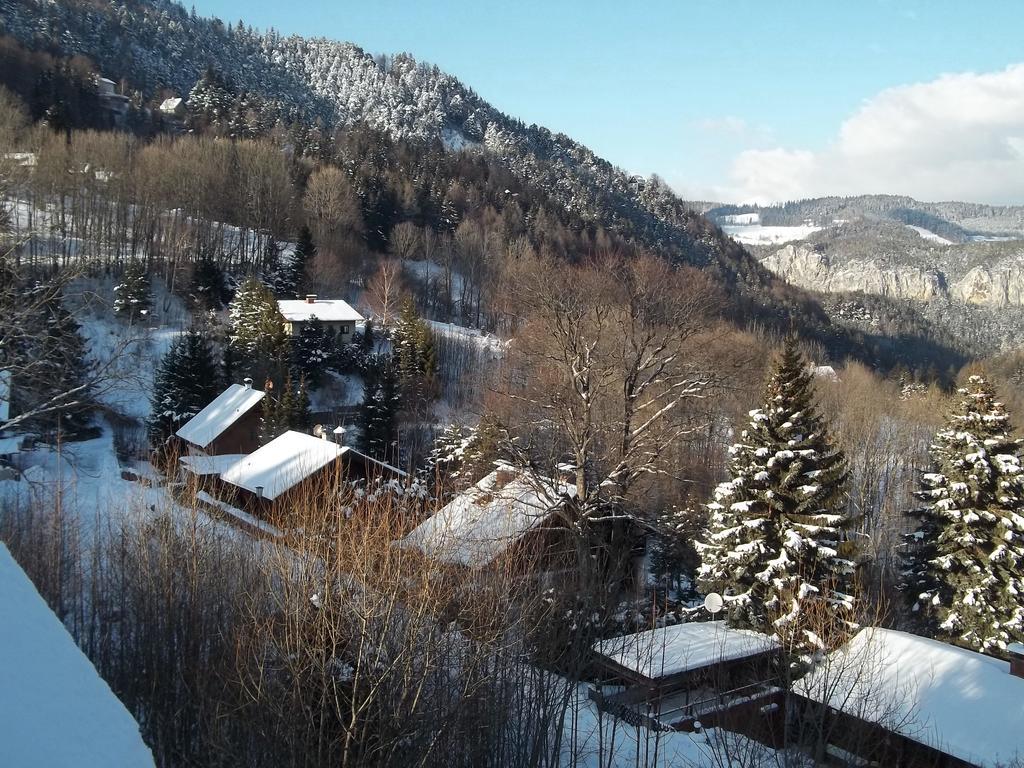 Villa Wellspacher Земеринг Екстериор снимка
